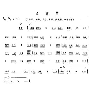 凌霄花