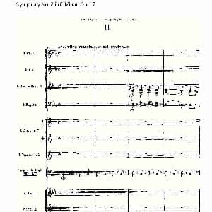 Symphony No.2 in C Minor, Op.17 C小调第二交响曲,