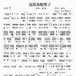 真的为你哭了_歌谱投稿_词曲:韩信 韩信