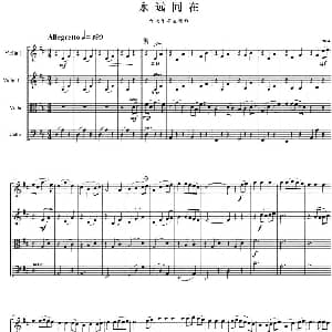 小提琴谱 | 永远同在 千与千寻 主题曲 四重奏