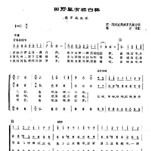 100田野里有棵白桦 俄罗斯 _外国歌谱_词曲: 俄罗斯民歌