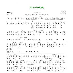 远方的夜晚_歌曲简谱_词曲:乾符 曼妙