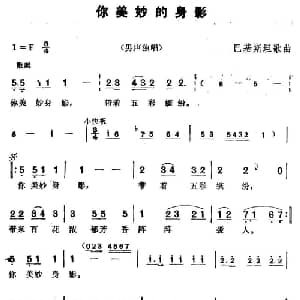 你美妙的身影 巴基斯坦 _外国歌谱