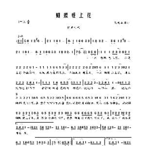 蝴蝶爱上花_歌曲简谱_词曲:王成勇 王成勇