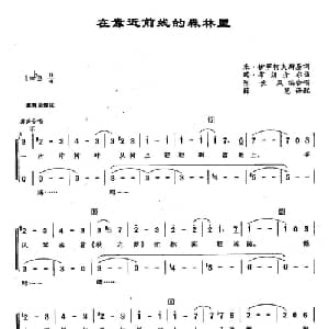 48在靠近前线的森林里 俄罗斯 _外国歌谱_词曲:米 伊萨柯夫斯基 玛 布朗介尔