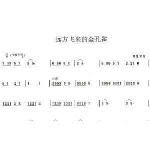 葫芦丝谱 | 远方飞来的金孔雀 何维青