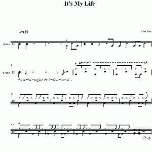It is my life_歌谱投稿