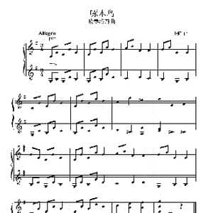 啄木鸟_歌谱投稿_词曲: 王少师曲