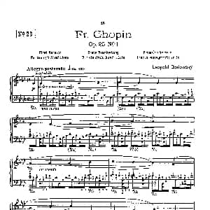 53首以肖邦练习曲为素材而作的练习曲 钢琴谱 里奥鲍尔德 戈多夫斯基