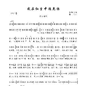 我在红尘中遇见你_歌曲简谱_词曲:玉镯儿 陈伟