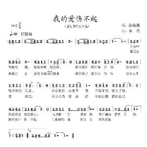 我的爱伤不起_通俗唱法乐谱_词曲:郭晓强 童艺