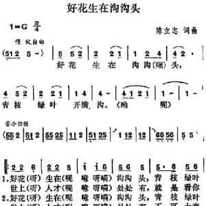 好花生在沟沟头_民歌简谱_词曲:陈立志 陈立志
