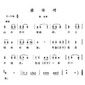 藤缠树_民歌简谱
