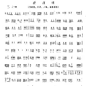 滴滴泪