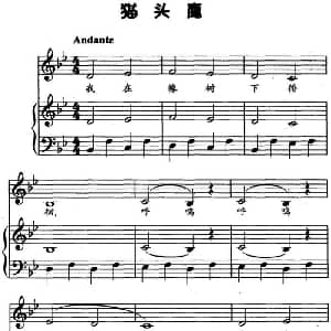 猫头鹰 钢琴谱
