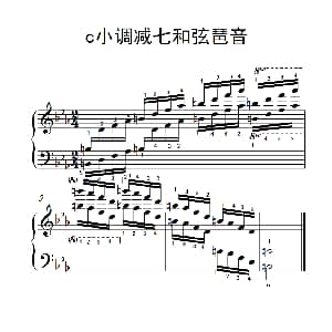 第七级18.c小调减七和弦琶音 钢琴谱