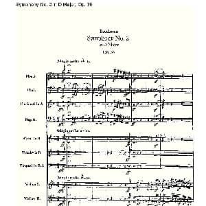 Symphony No.2 in D Major, Op.36 D大调第二交响曲 Op.3