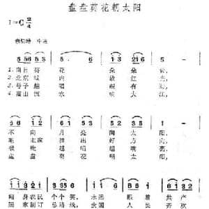 盘盘葵花朝太阳_民歌简谱