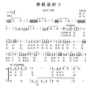 攀枝花树下_民歌简谱_词曲:张正忠 廖国良