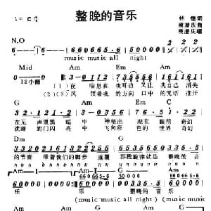 整晚的音乐_通俗唱法乐谱_词曲:林恺 庾澄庆