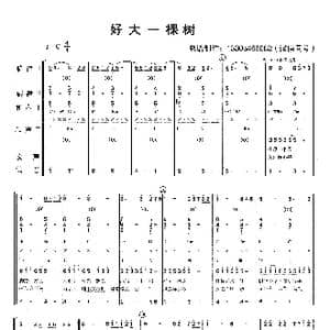 好大一棵树_歌曲简谱