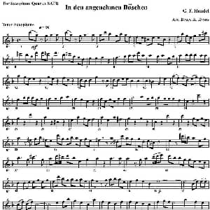 萨克斯谱 | In den angenehmen Buschen 四重奏 次中音萨克斯分谱