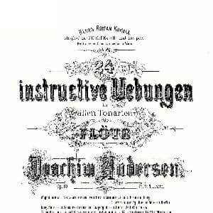 长笛曲谱 | 24 instructive Uebungen.Op.30 13—24