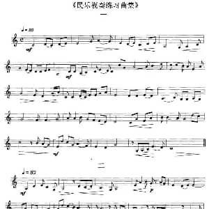 民乐视奏练习曲集 1—4