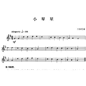 小星星 小号