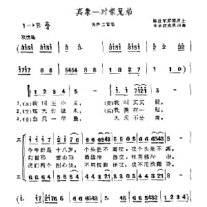 真象一对亲兄弟_合唱歌谱